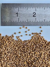 graniglia granuli vegetali gusci di noce 5kg sabbiatura grana 800-1000 0,8-1,0mm