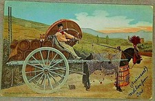 antica CARTOLINA d'Epoca ROMA - Carretto con botti  1906 carro da vino colore