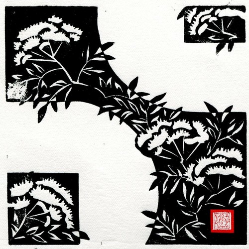 Kuprina s sambuco - kuprina,