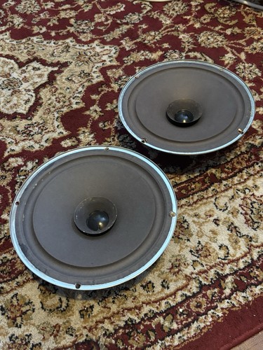 Coppia altoparlanti rank - di,