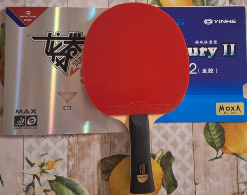 Racchetta ping pong custom - pong,