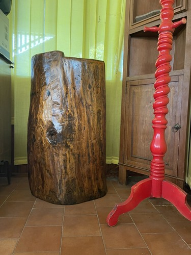 Corteccia naturale oggetto - naturale,
