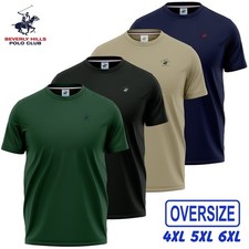 Shirt manica corta - t-, taglie