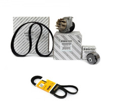 Kit distribuzione pompa acqua - kit,