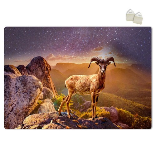 Stambecco poster pvc - poster,