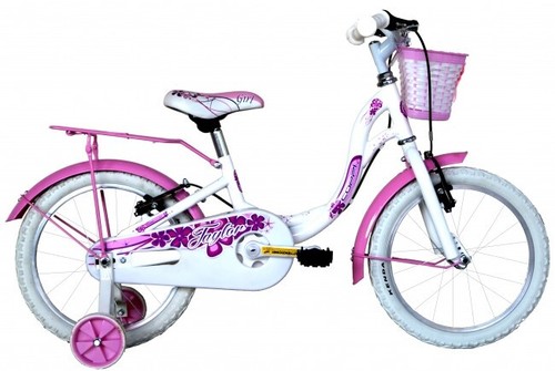 Bici taylor music - 14,
