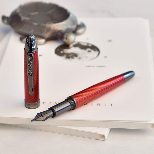 Penna stilografica spina di - penna,