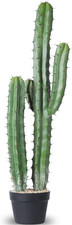 Cactus Artificiale 36" -