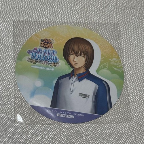 Fuji shusuke anika cup - anika, fe
