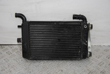 60434 Radiatore Malaguti