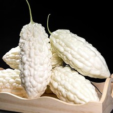 Momordica charantia White