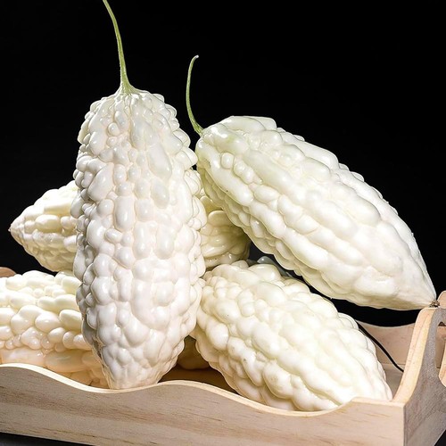 Momordica charantia white - charantia,