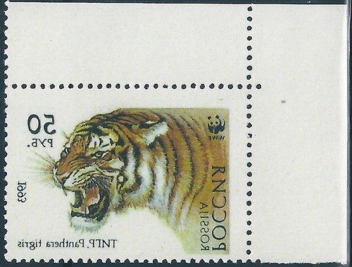 13728 russia fauna animale - 13728,