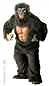Costume Gorilla In Peluche M