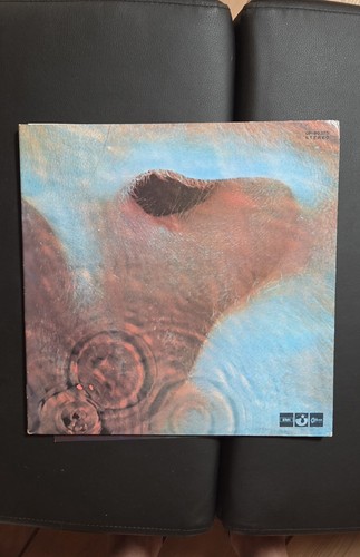 Disco vinile pink - in,