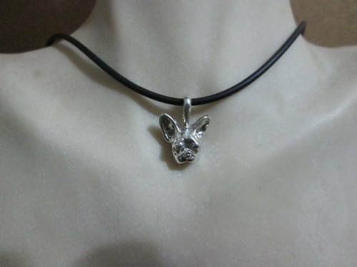 Bulldog francese testa - francese,
