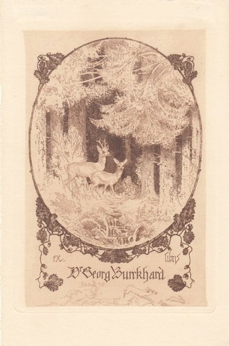 Exlibris bookplate radierung - exlibris,