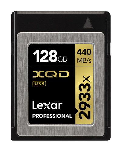 Scheda lexar professional - scheda, gold
