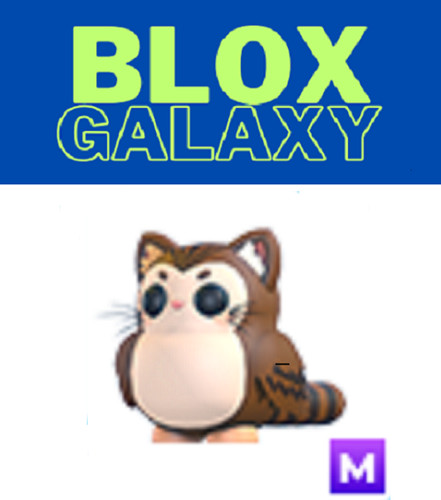 Mega purrowl adotta - -, tuoi