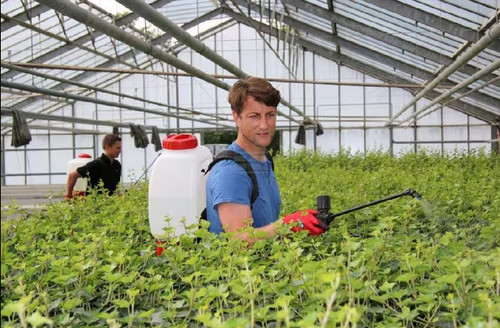 Irroratore spalla a - ,