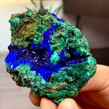 265G MIGLIORI esemplari di