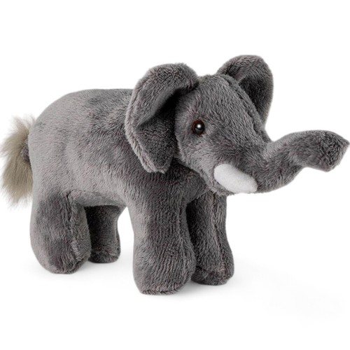 Carl dick elefante piedi - dick,