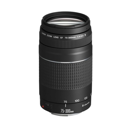 Teleobiettivo zoom 300 - ef, 75-300