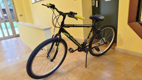 bicicletta