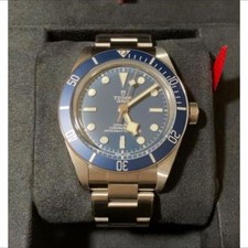 tudor fifty otto 79030b 58