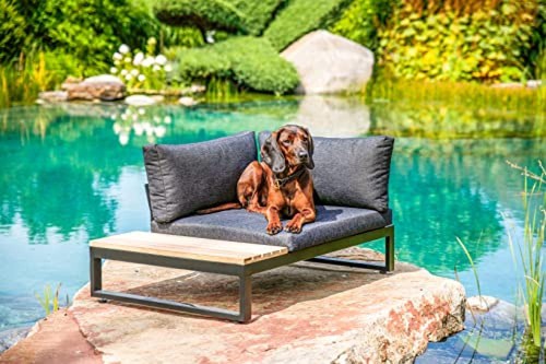 Greemotion letto per - per, cani