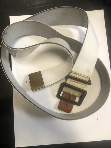Cinghia con placca completa - cinghia,