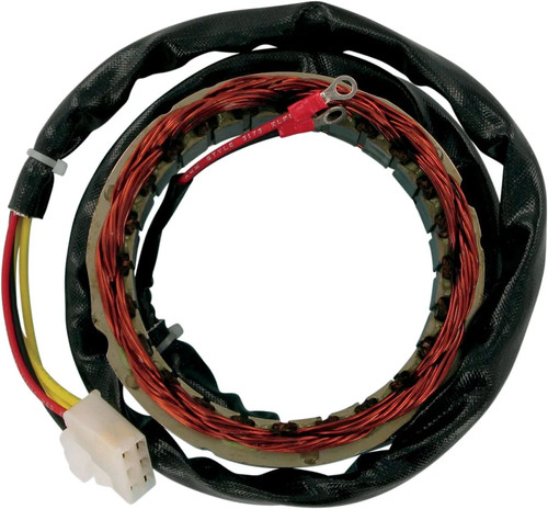 Rick motorsport electric - rick's,