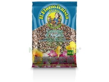 1PZ ARGILLA ESPANSA LT. 10: