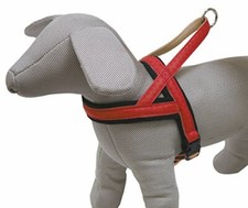 Croci Pettorina in Similpelle