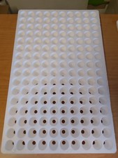 10 Pezzi seminiera in