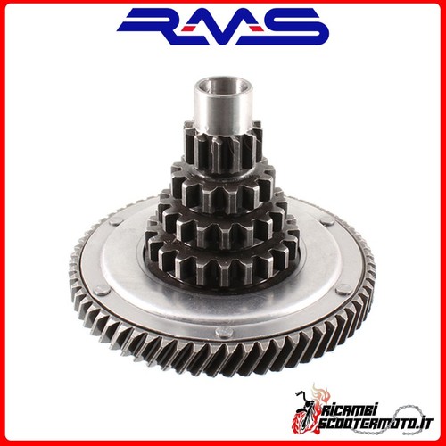 Albero primario completo rms - albero,