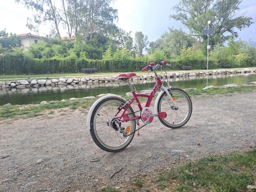 Bicicletta twin bambina - bicicletta,