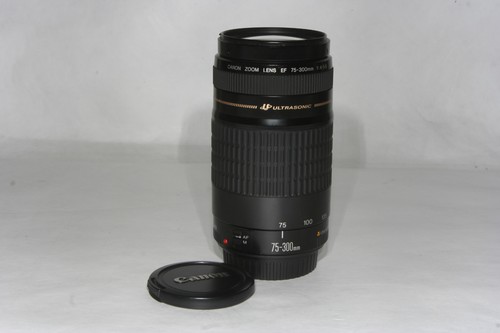 Canon obiettivo zoom 300 - canon,