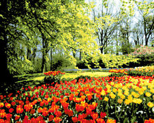 SCHEMA SCHEMI PUNTO CROCE PAESAGGI GIARDINO FIORITO DMC