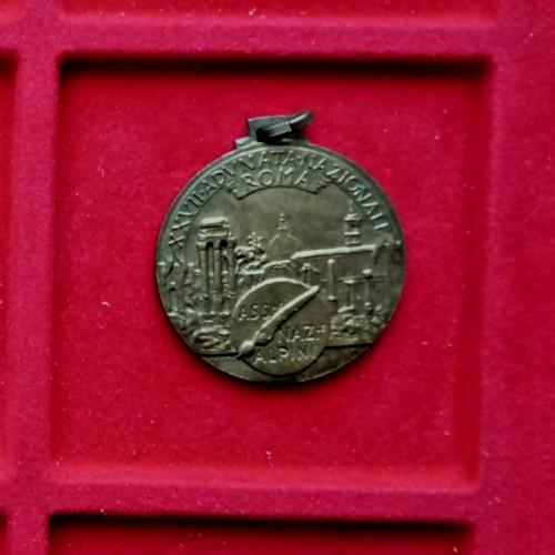 Medaglia xxvii adunata - medaglia, xxvii°