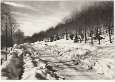 SUBIACO - ROMA - MONTE LIVATA