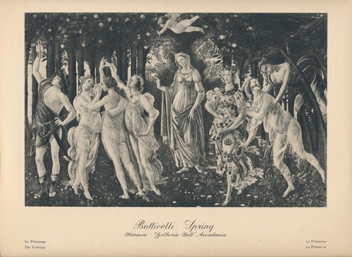 Antica stampa sandro - stampa,