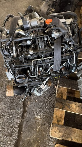 Motore cay tdi - motore,