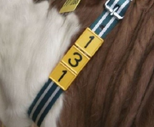 Numeri identificativi a 9 - numeri,
