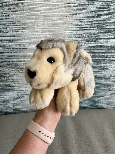 Husky chiglia morbida - husky,