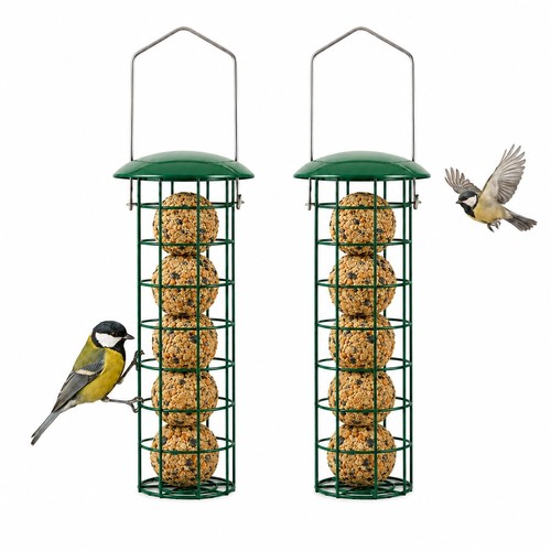 Mangiatoia per uccelli - , da
