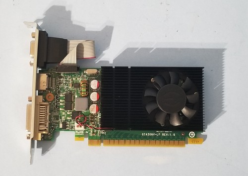 Scheda video evga nvidia - video,