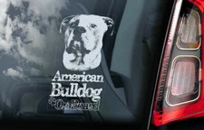 Adesivo auto Bulldog americano
