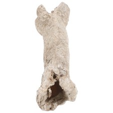 Piccolo Rettile Nascondi