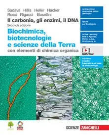 Ilcarbonio gli enzimi dna - enzimi,